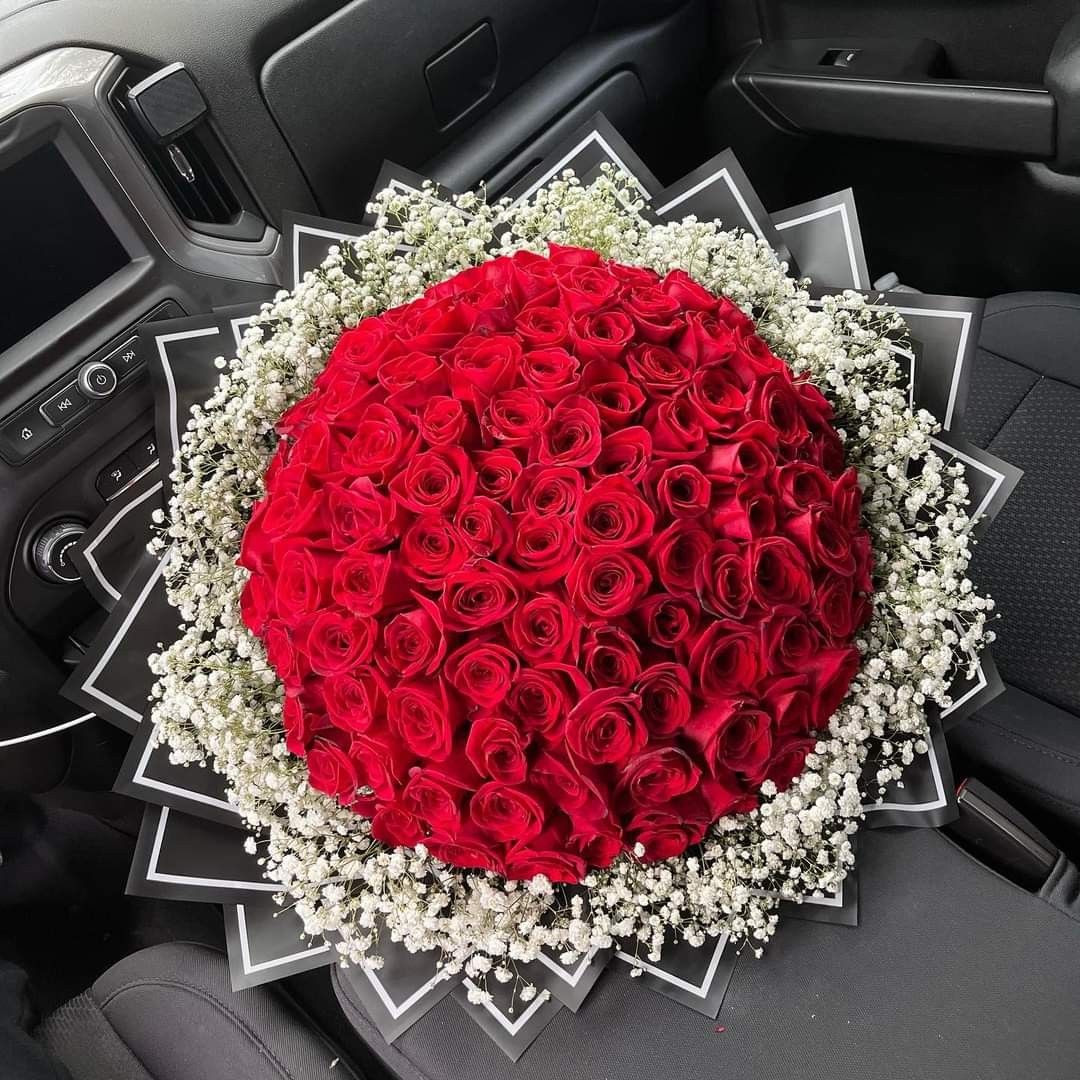Baby’s breath Rim