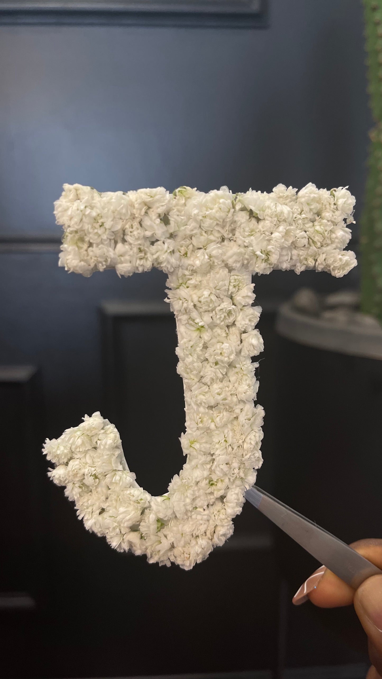Baby’s Breath Initial or Number