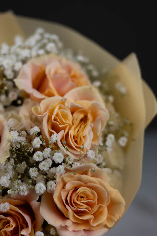 Baby's Breath
