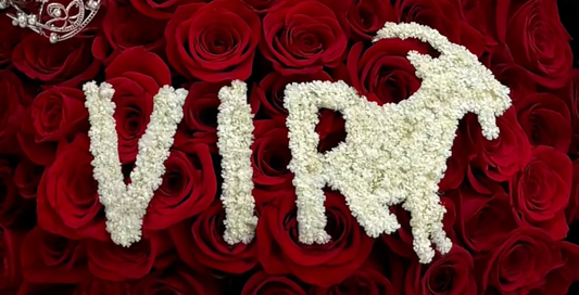 Zodiac Sign Bouquets