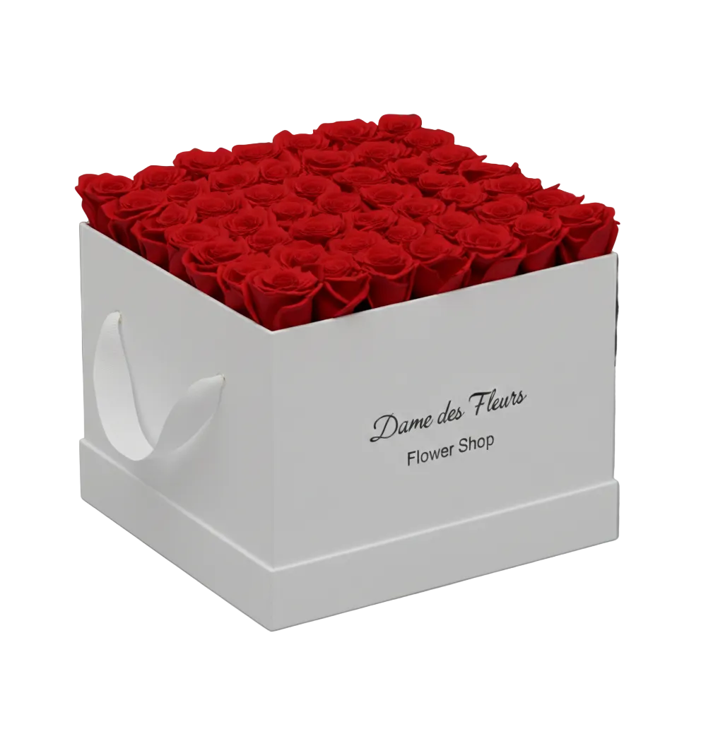 Preserved Roses