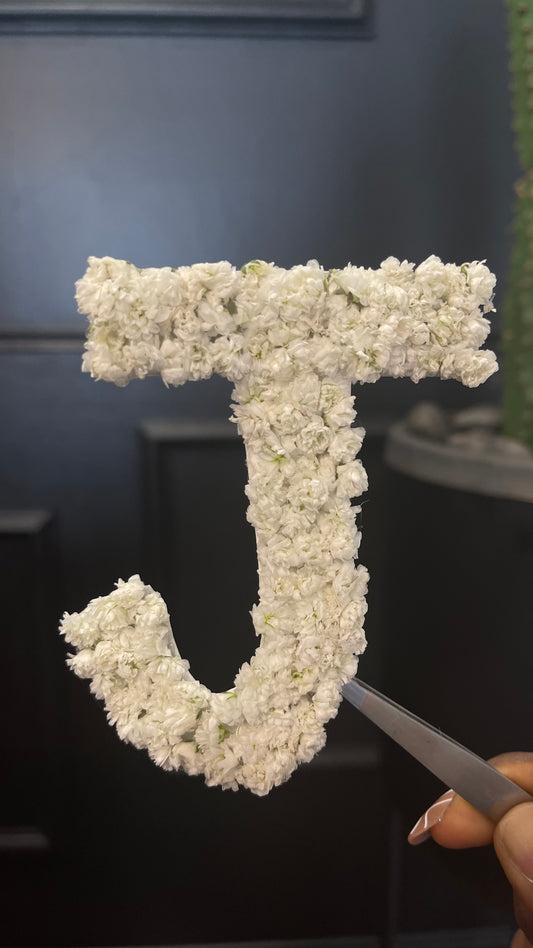 Baby’s Breath Initial or Number